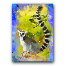 Ring tailed lemur for sale  Pasco