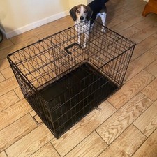 Wire collapsible dog for sale  Kendallville