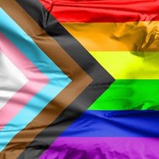 Flagge fahne progress gebraucht kaufen  Lübeck