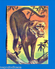 ANIMALI - Lampo 1964 - Figurina-Sticker n. 43 - MACACO -New comprar usado  Enviando para Brazil