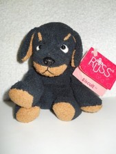 russ luv pets for sale russ luv pets for sale Monroeville