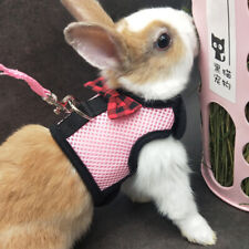 Dog rabbit mesh d'occasion  Expédié en Belgium