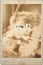 Cabinet card wotton for sale Cabinet card wotton for sale  CHESTERFIELD