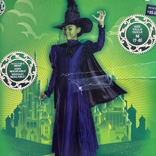 Wicked elphaba deluxe for sale  Springfield