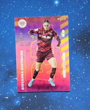 Panini frauen bundesliga gebraucht kaufen  Süderhastedt