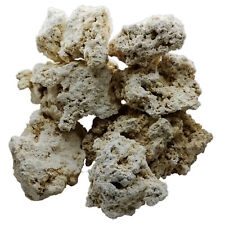 Dry ocean reef for sale  DARTFORD