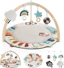 Blissful diary baby for sale  Dallas