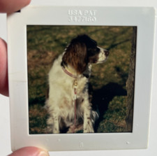 Oversized color slides for sale  Valley Stream