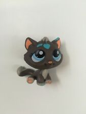 Chat gouttière marron d'occasion  Paris I