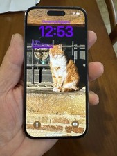 iphone dual sim usato iphone dual sim usato Villanova di Camposampiero