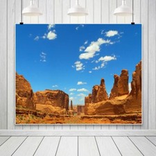 10x8ft desert backdrop for sale  USA