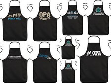 Grillschürze lustige kochsch� gebraucht kaufen  Fürstenstein