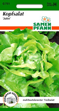 Treibsalat john mehltauresiste gebraucht kaufen  Oschersleben (Bode)