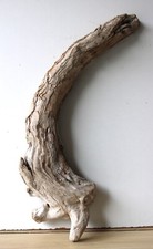Treibholz schwemmholz driftwoo gebraucht kaufen  Halblech
