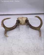 animal wall decorations for sale animal wall decorations for sale Detroit