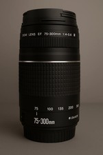 Canon 300 4 d'occasion  Paris X
