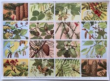 Planche pédagogie 104 d'occasion  Saint-Léger-sur-Dheune