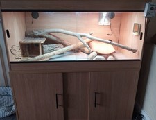 Bearded dragon vivarium for sale  GOOLE
