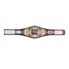 Baltimore ravens championship for sale  Annapolis