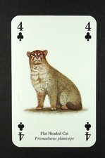 Spielkarte einer wildkatze gebraucht kaufen  Versand nach Germany