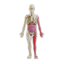 Diy per assemblaggio usato Diy per assemblaggio usato  Spedire a Italy