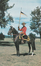 Canadian royal mounted for sale  BRISTOL