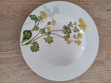 Suppenteller villeroy boch gebraucht kaufen  Bad Salzuflen