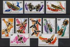 insectes d'occasion insectes d'occasion Liège