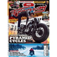 Freeway 292 2016 d'occasion  Allonnes