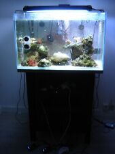 Aquarium eau mer d'occasion  Sail-sous-Couzan