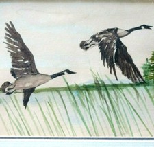 Envol canards aquarelle d'occasion  Chancelade