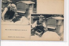 Montfavet beekeeping apiary d'occasion  Expédié en Belgium