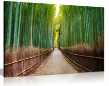 Bamboo forest japan for sale  LONDON