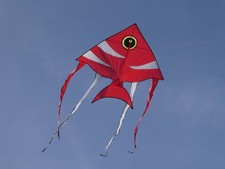 Flugdrachen drachen einleiner gebraucht kaufen  Bad Kissingen