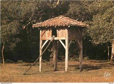Pigeonniers landes eco d'occasion  Fruges