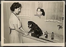 Snapshot doggie gets for sale  Denton