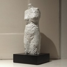 Modern plaster torso for sale Modern plaster torso for sale  TUNBRIDGE WELLS