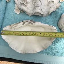 Rare large pair for sale  STRANRAER