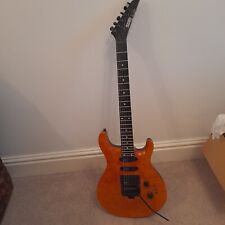 Hohner professional lion for sale  BARNSLEY
