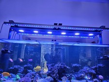 Led light bar for sale  LONDON