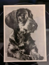 Alte postkarte ansichtskarte gebraucht kaufen  Wedemark