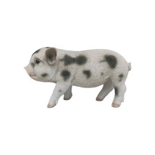Baby piglet standing for sale  CLACTON-ON-SEA