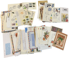 piante fiori usato piante fiori usato  Piazzola sul Brenta