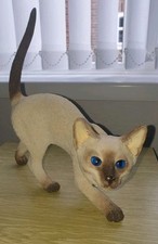 Country artists siamese for sale  SWAFFHAM