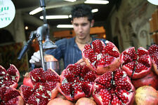 Melograno gigante punica usato  Trappeto
