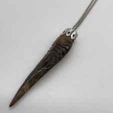 antelope horns for sale antelope horns for sale WYMONDHAM