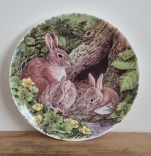 Wedgwood collectable plate for sale  SEVENOAKS