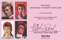 David bowie mick d'occasion  Lyon II