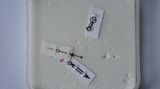 rolex lv gebraucht kaufen rolex lv gebraucht kaufen Kiel