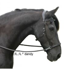 Dandy sidepull bitless for sale  ALSTON